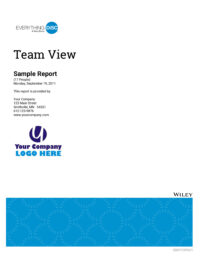 Rapport Everything DiSC Team View