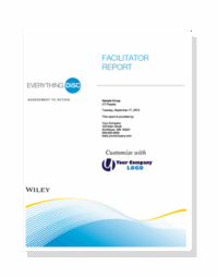 everything disc facilitator report