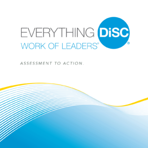 everything disc work of leaders facilitation kit 1