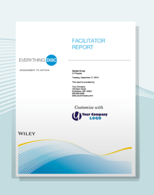 rapport everything disc facilitator report disc partners