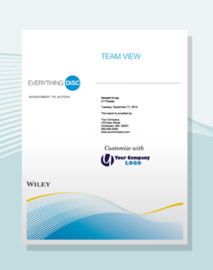 Rapport everything disc team view disc partners