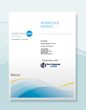 acheter-profil-everything-disc-workplace-disc-partners